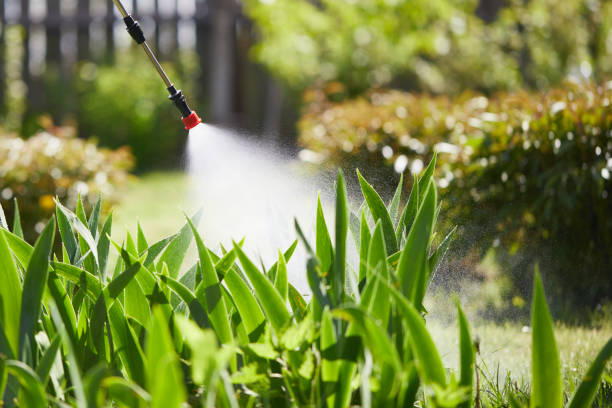 Tamper-Resistant Bait Stations for Rodents in Montevallo