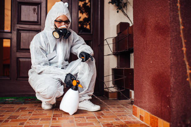 Attic and Crawl Space Rodent Treatment in Montevallo