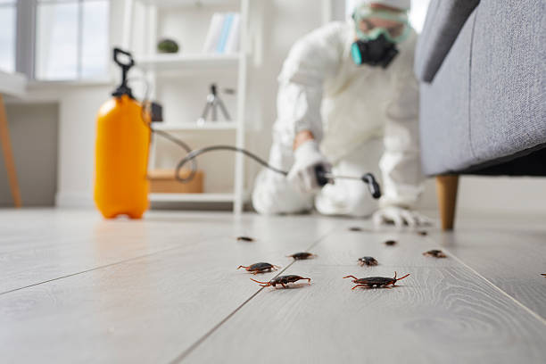 Commercial Rodent Management in Montevallo